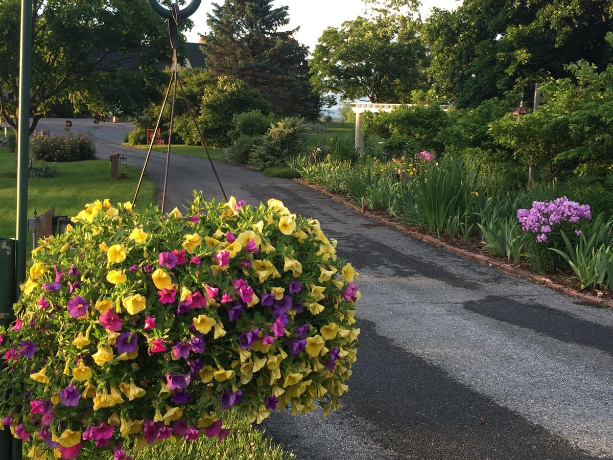 Annville Inn Bed & Breakfast - thumb 26