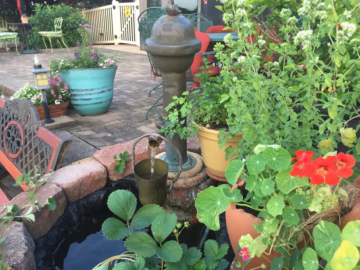 Annville Inn Bed & Breakfast - thumb 25