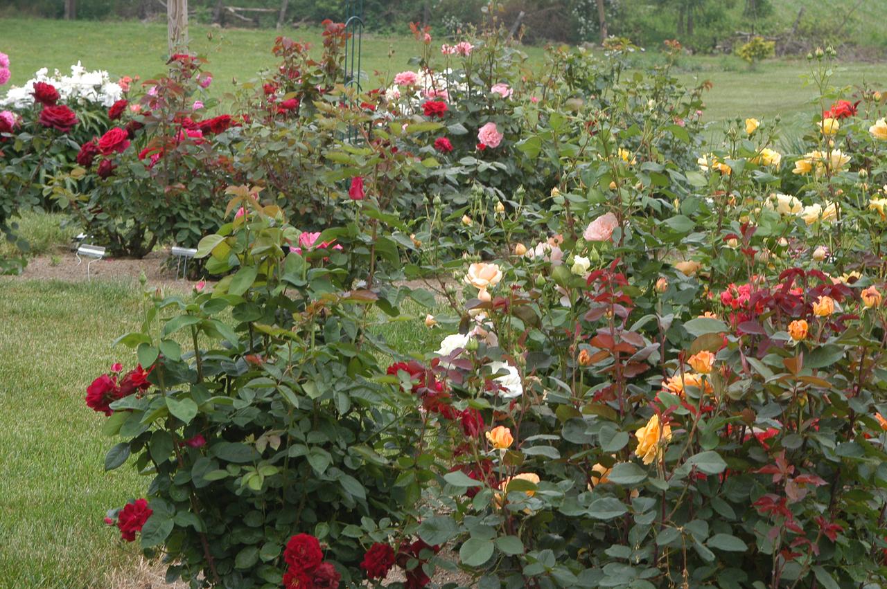 Annville Inn Bed & Breakfast - thumb 9