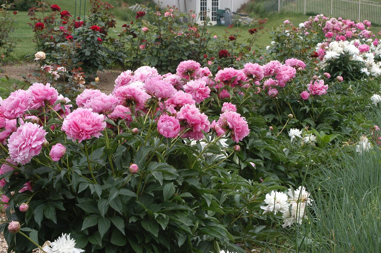 Annville Inn Bed & Breakfast - thumb 17