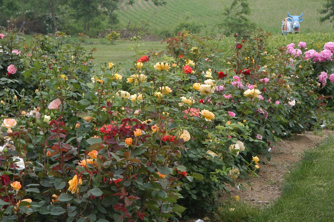 Annville Inn Bed & Breakfast - thumb 29