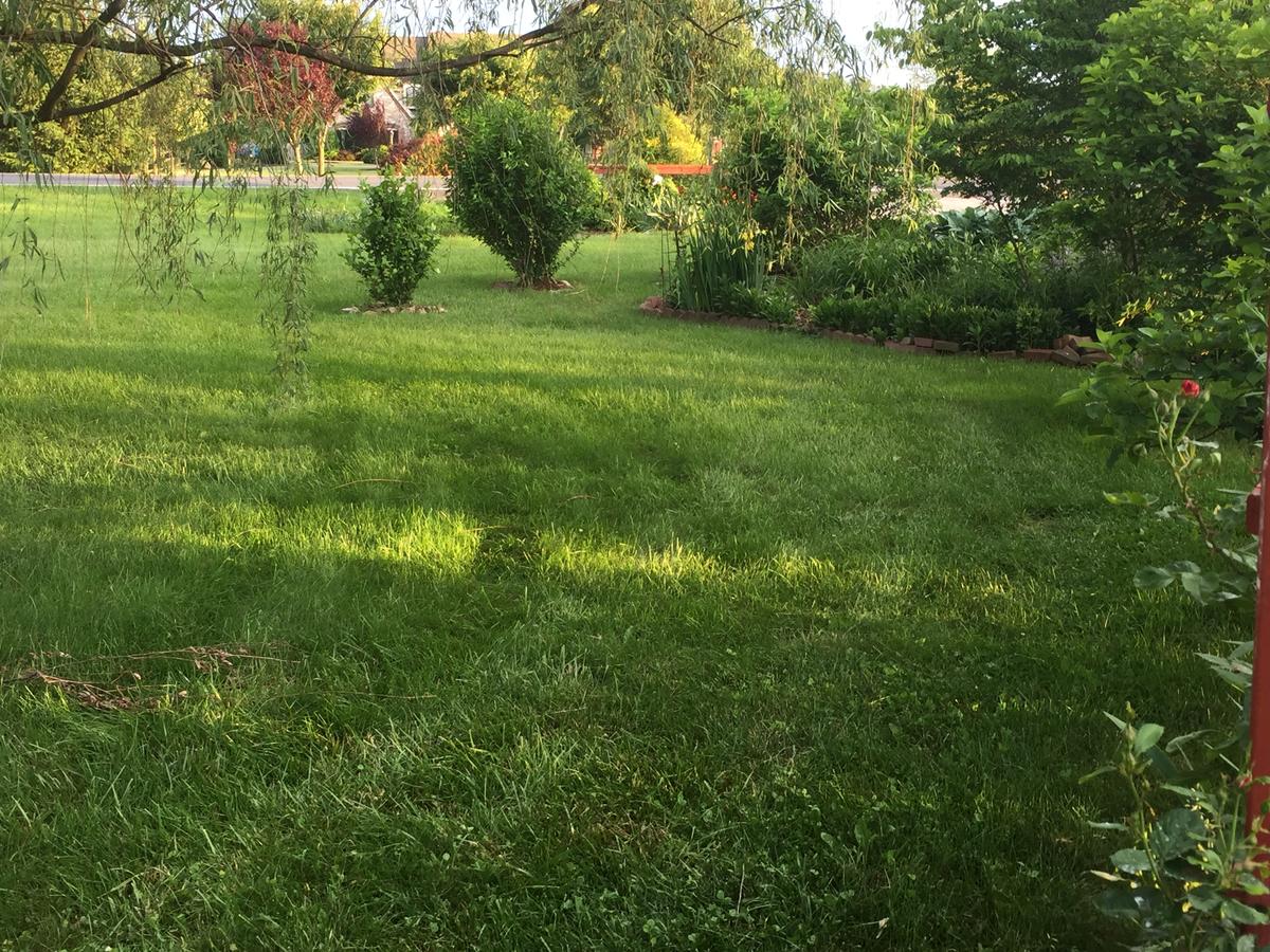 Annville Inn Bed & Breakfast - thumb 28