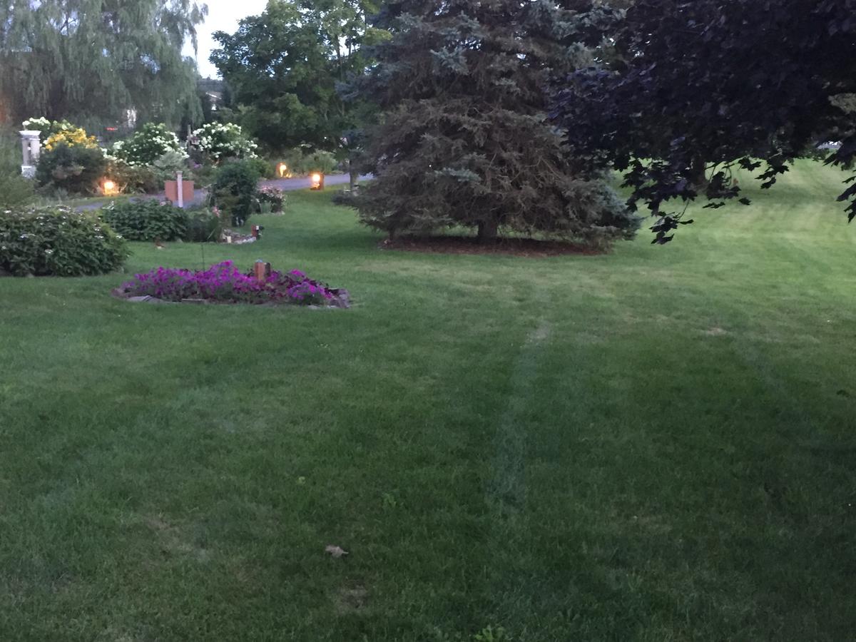 Annville Inn Bed & Breakfast - thumb 23