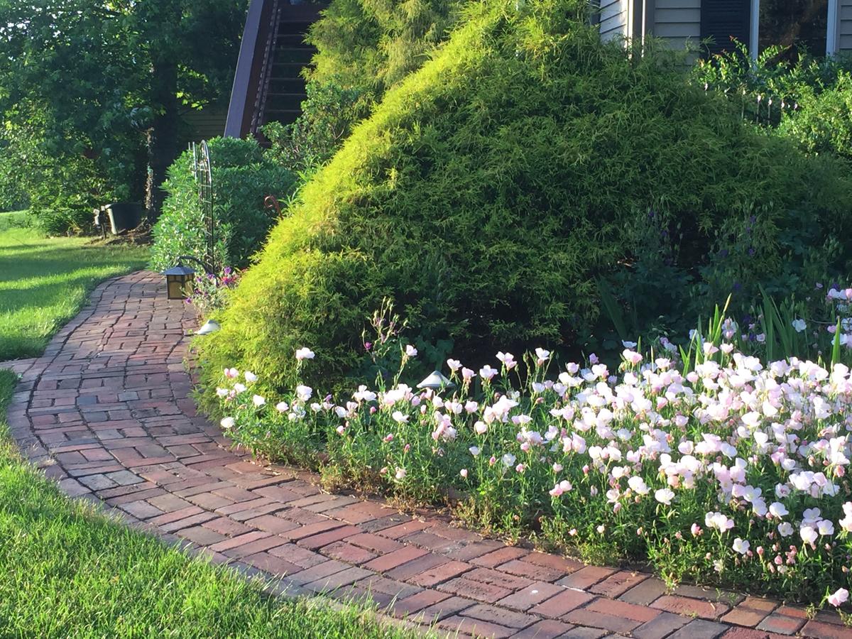 Annville Inn Bed & Breakfast - thumb 40