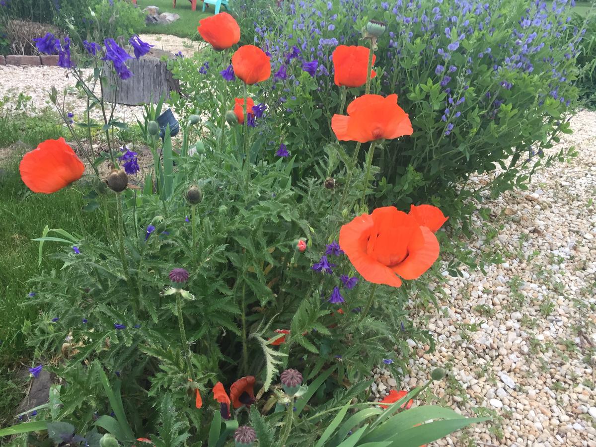 Annville Inn Bed & Breakfast - thumb 43