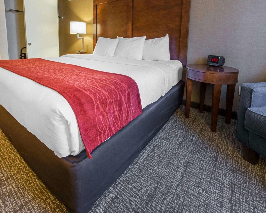 Comfort Inn & Suites Erie - thumb 7