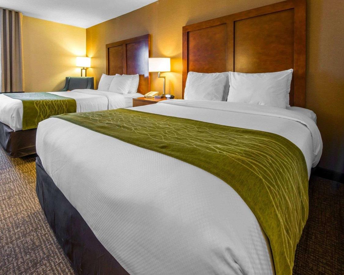 Comfort Inn & Suites Erie - thumb 5