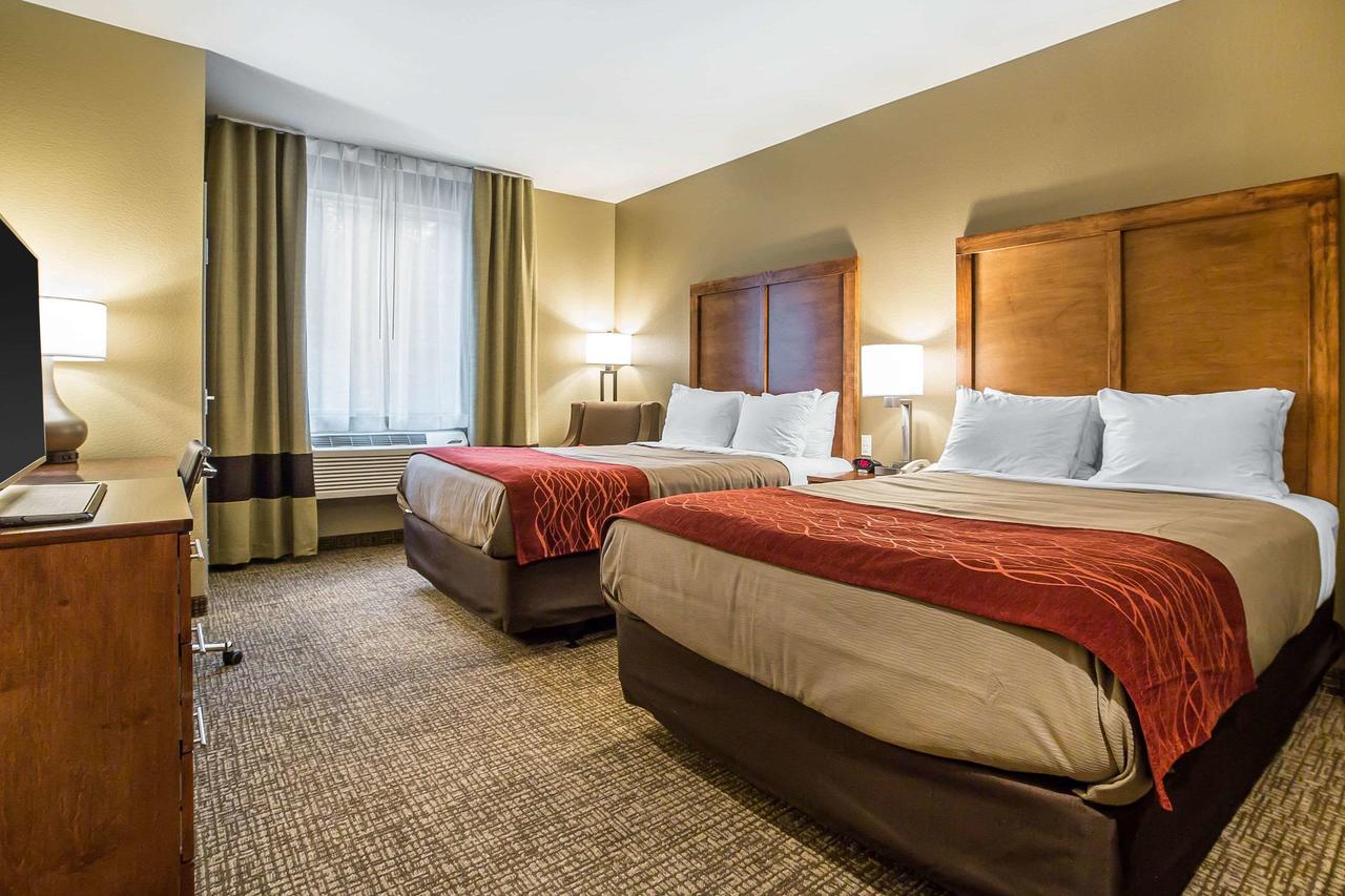 Comfort Inn & Suites Near Mt. Rushmore - thumb 15