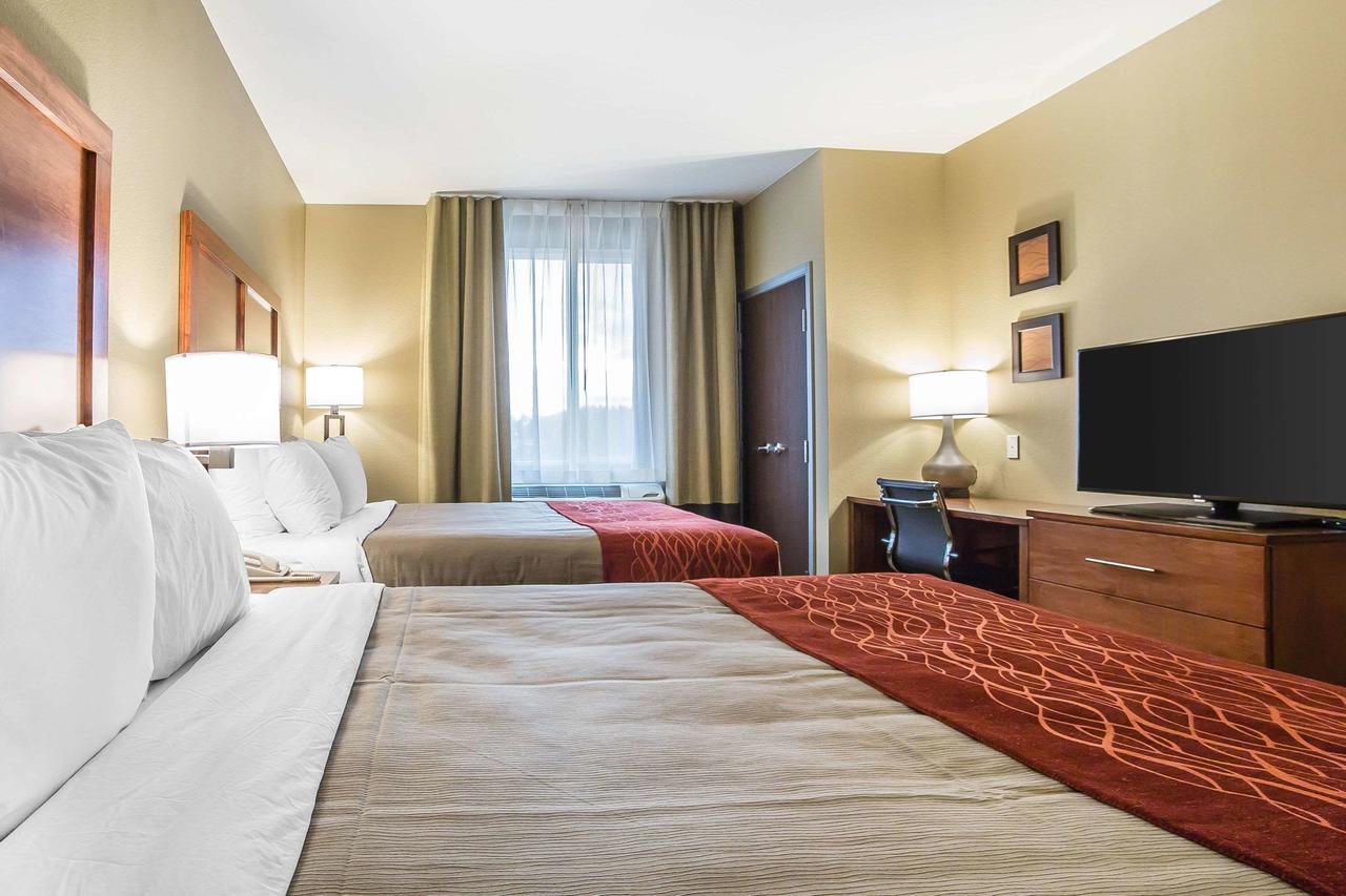 Comfort Inn & Suites Near Mt. Rushmore - thumb 8