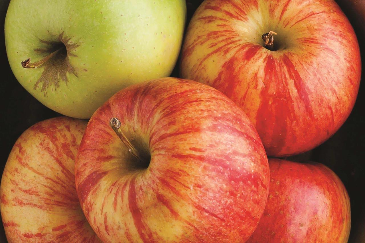 La Quinta Inn By Wyndham Pigeon Forge-Dollywood - thumb 39