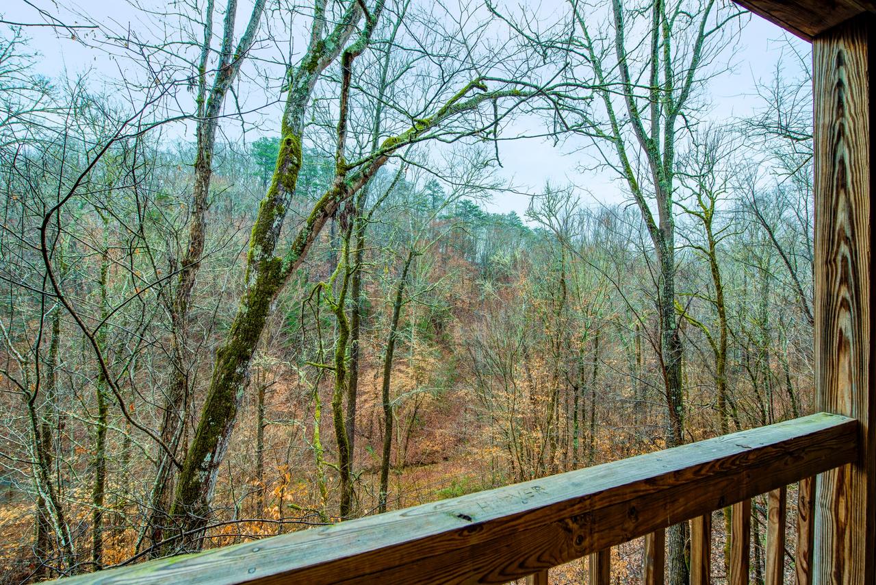 Mountain Tree House - thumb 34