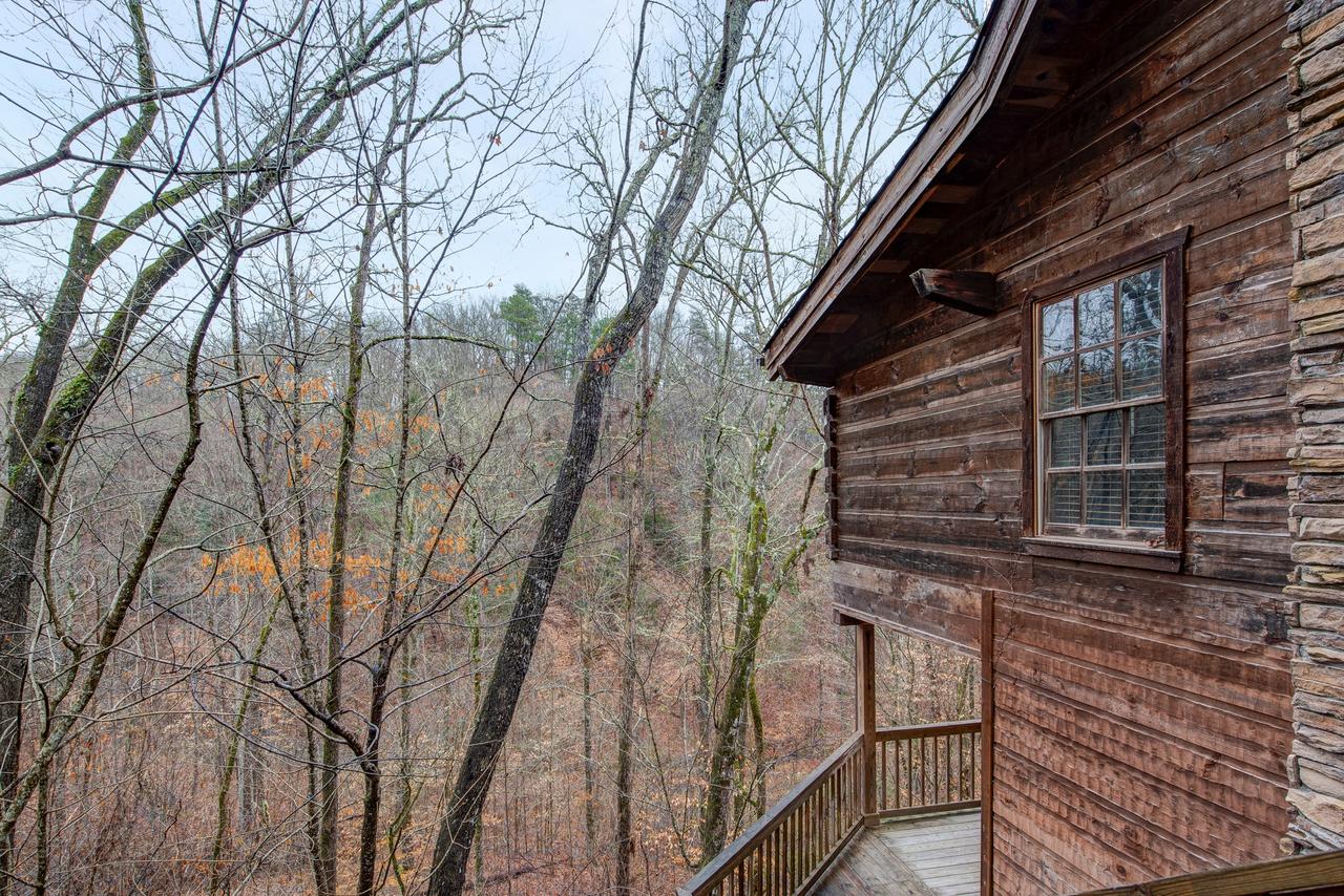Mountain Tree House - thumb 36