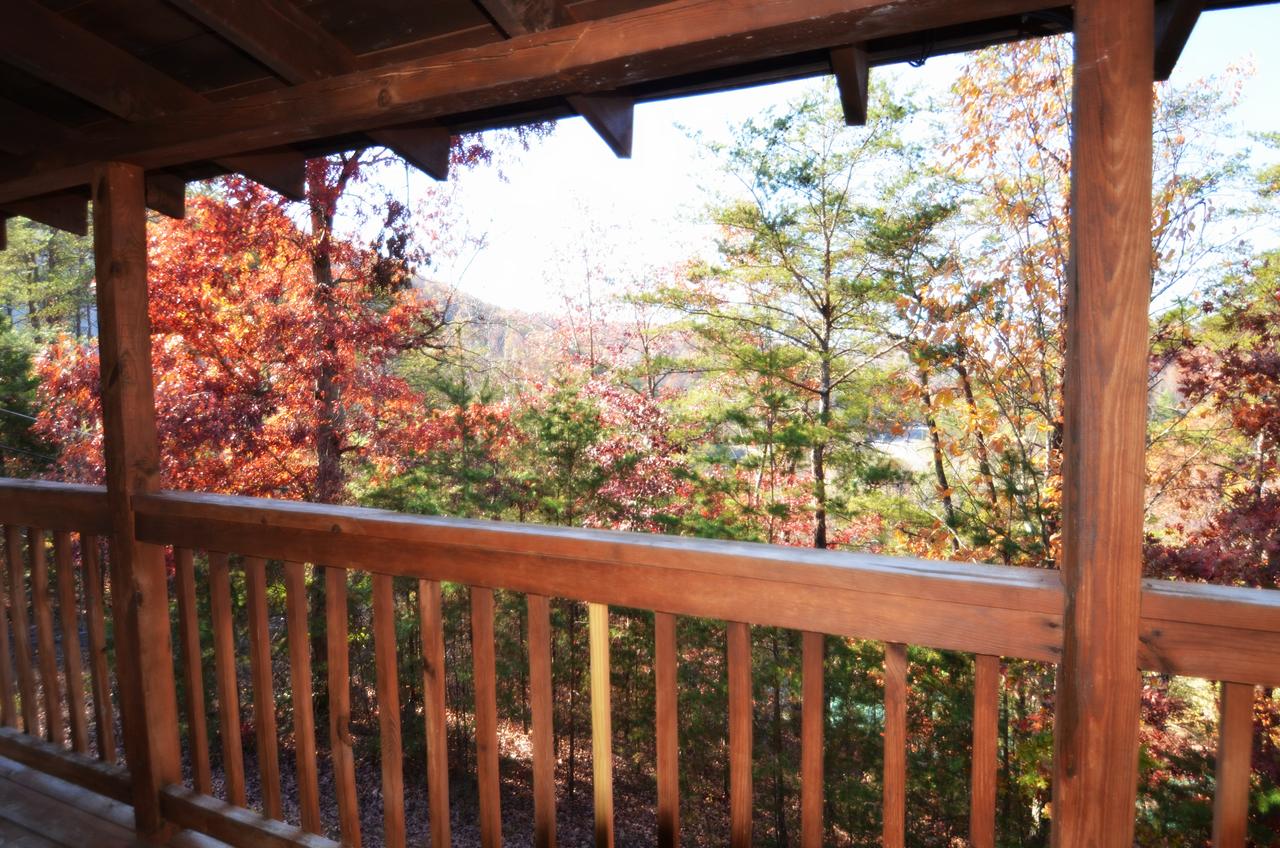 A Magical Experience - thumb 4