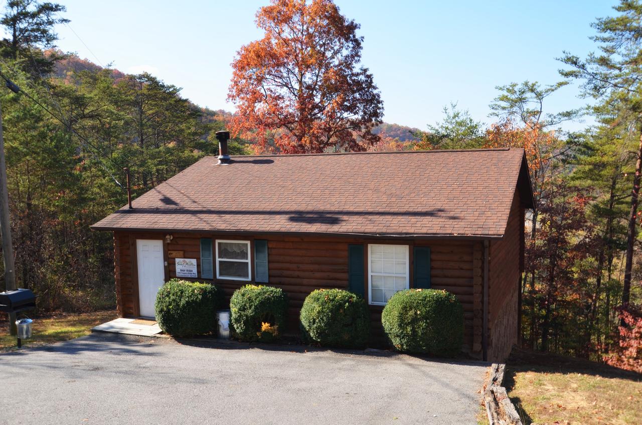 A Magical Experience - thumb 20