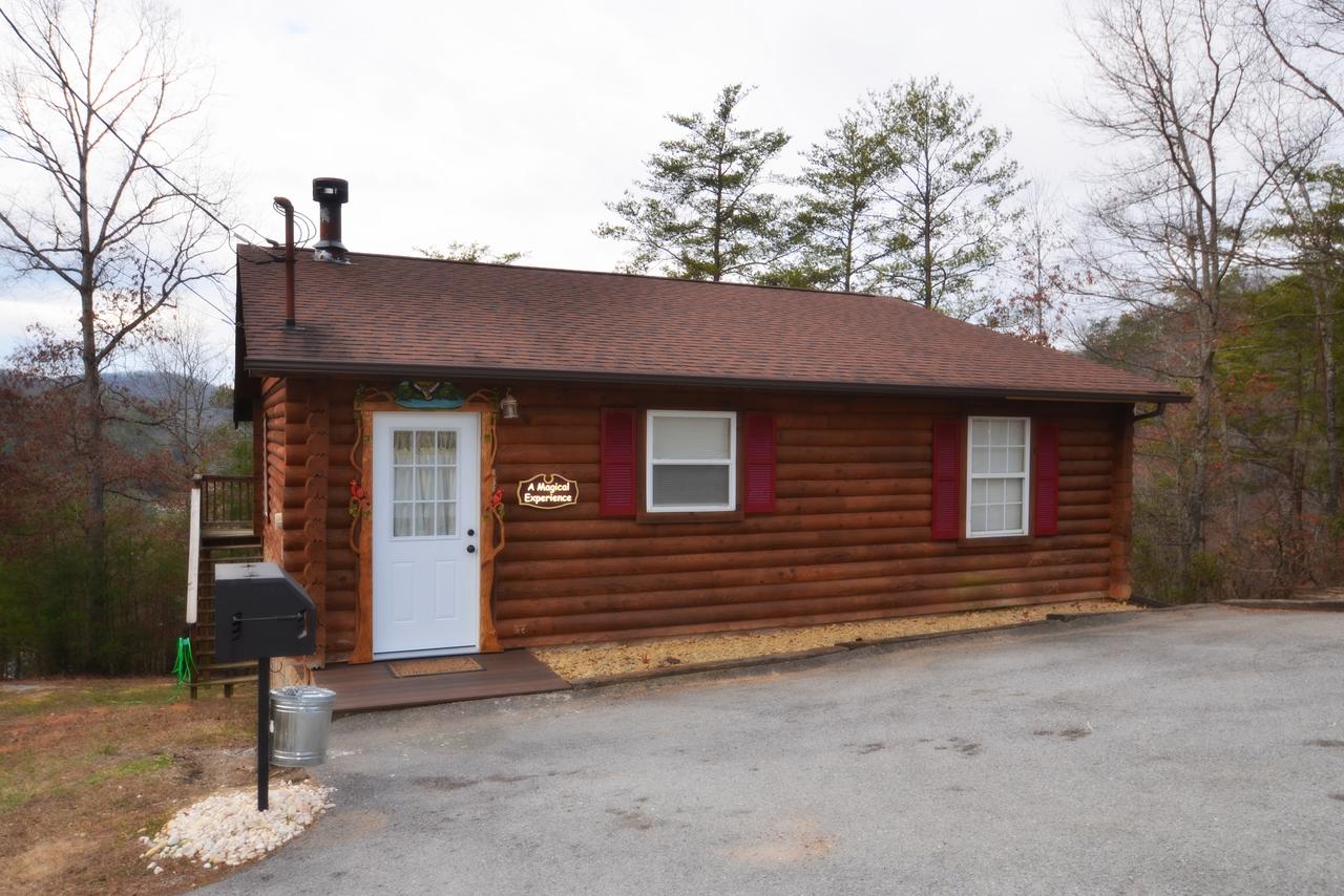 A Magical Experience - thumb 23