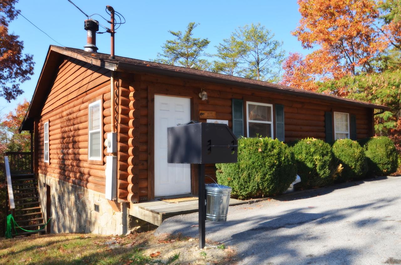 A Magical Experience - thumb 22