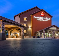 Best Western Plus Cotton Tree Inn - Accommodation Indiana