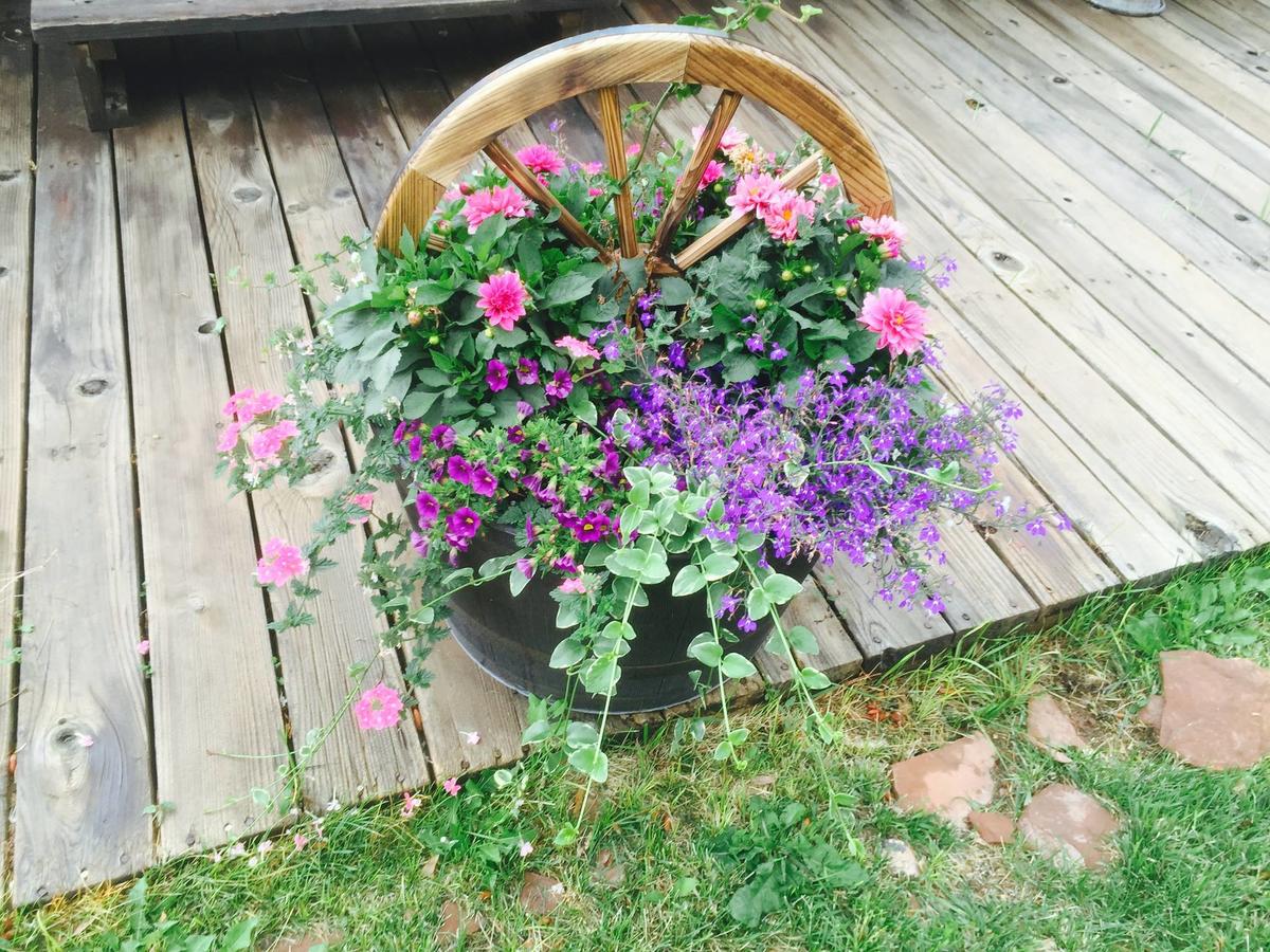 Broken Spur Inn & Steakhouse - thumb 26