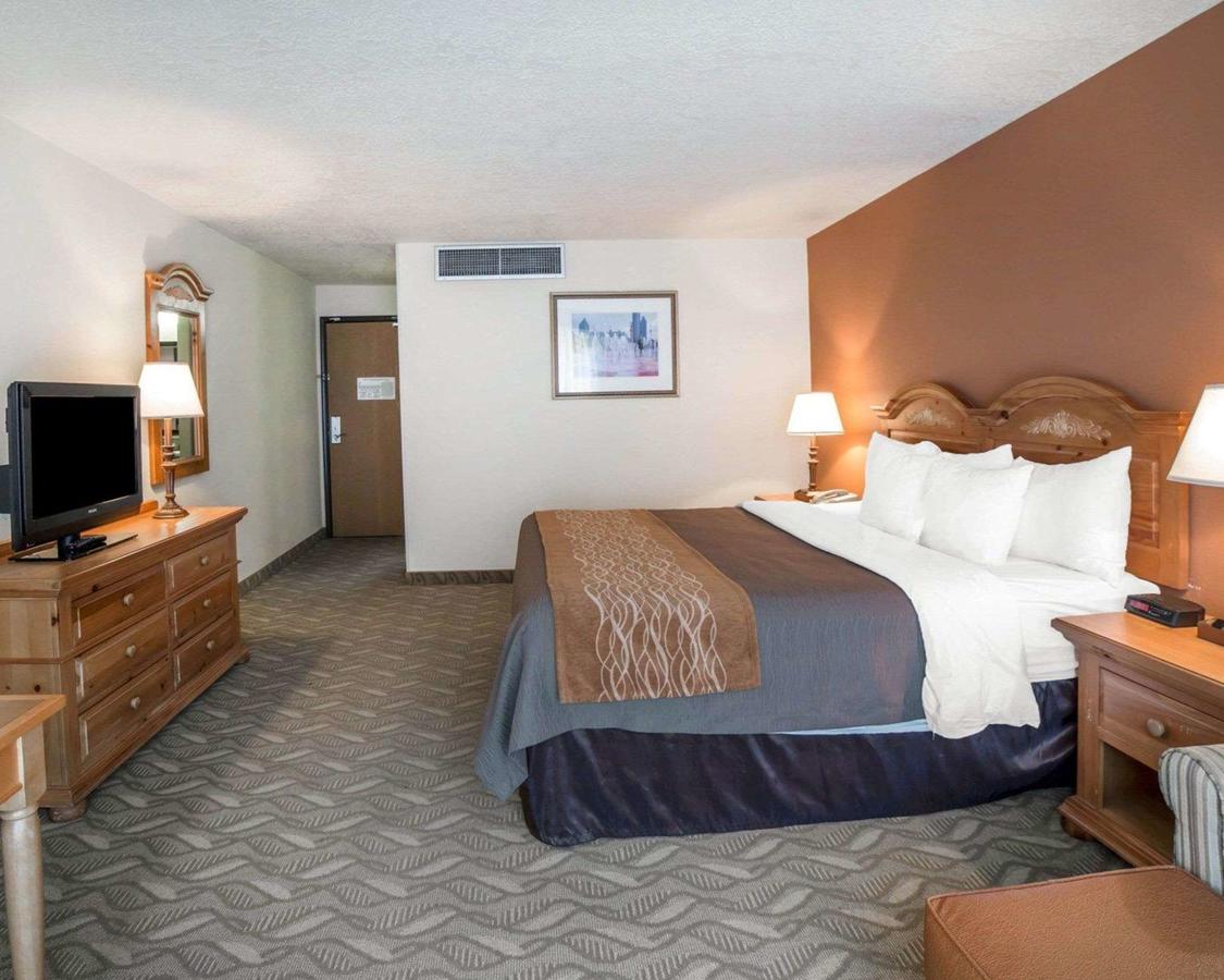 Comfort Inn Downtown Salt Lake City - thumb 33