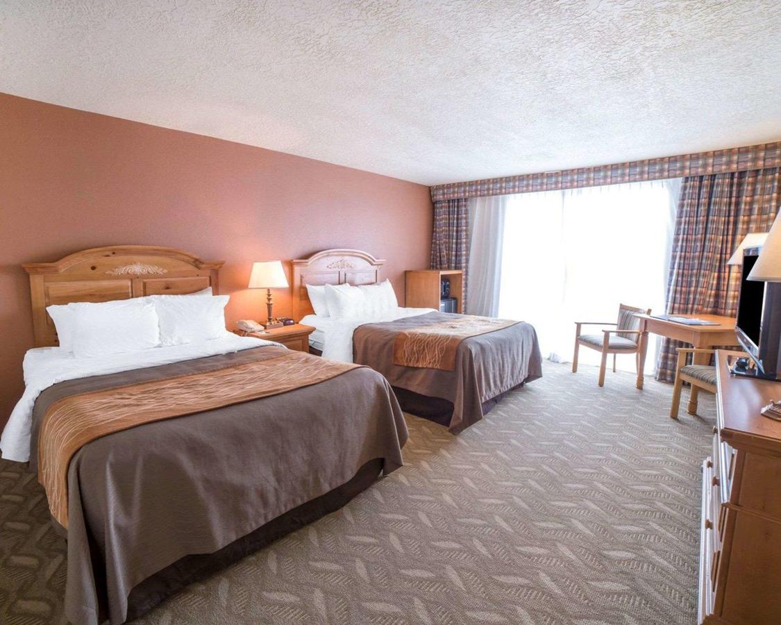 Comfort Inn Downtown Salt Lake City - thumb 31