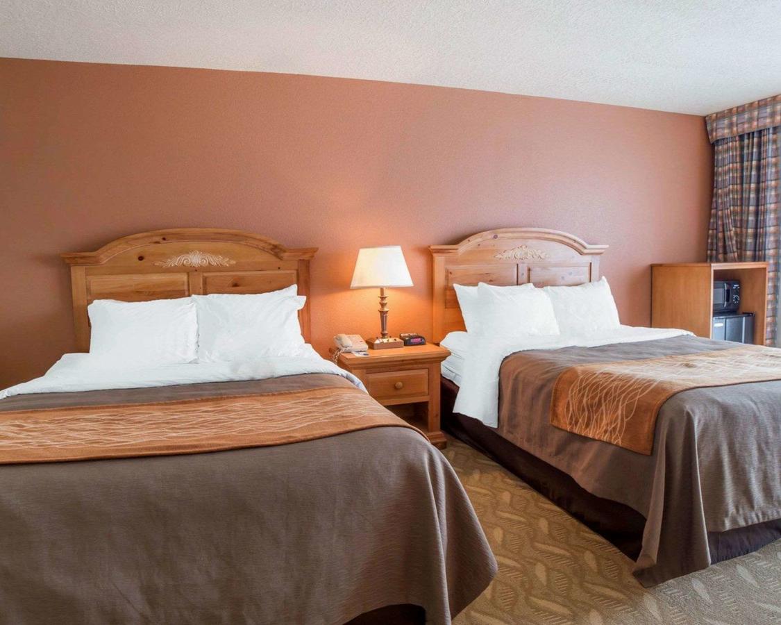 Comfort Inn Downtown Salt Lake City - thumb 22