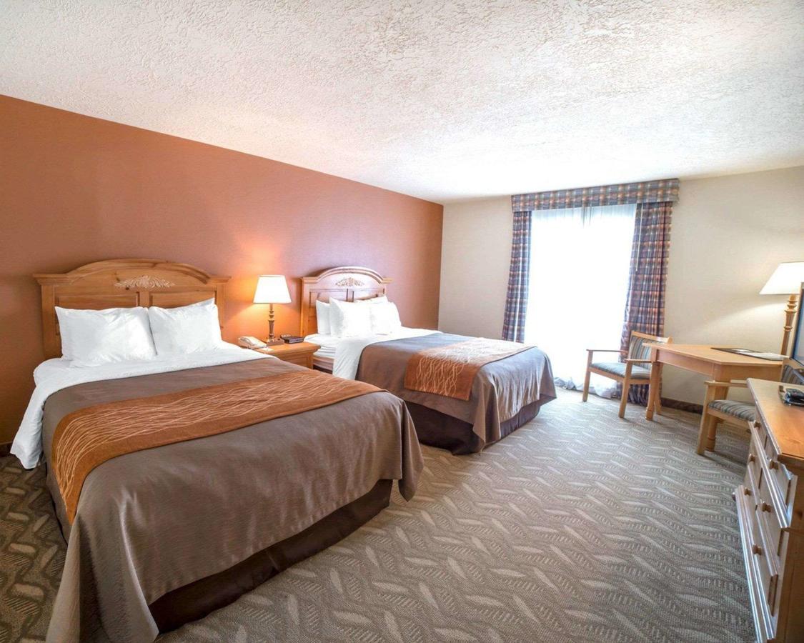 Comfort Inn Downtown Salt Lake City - thumb 32