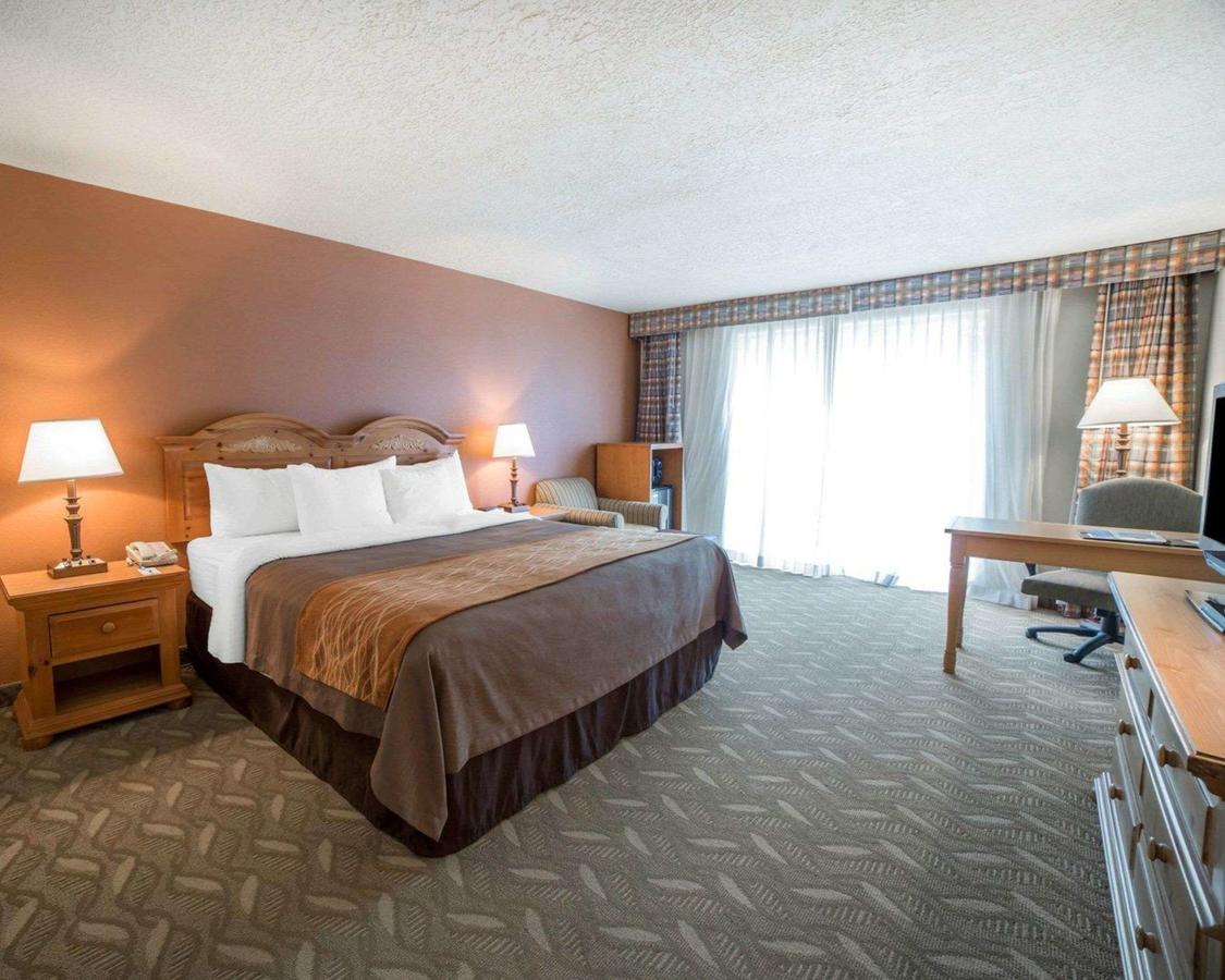 Comfort Inn Downtown Salt Lake City - thumb 11