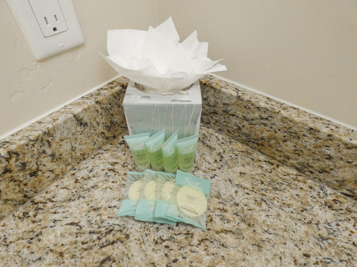 #19 Desert Winds - thumb 11