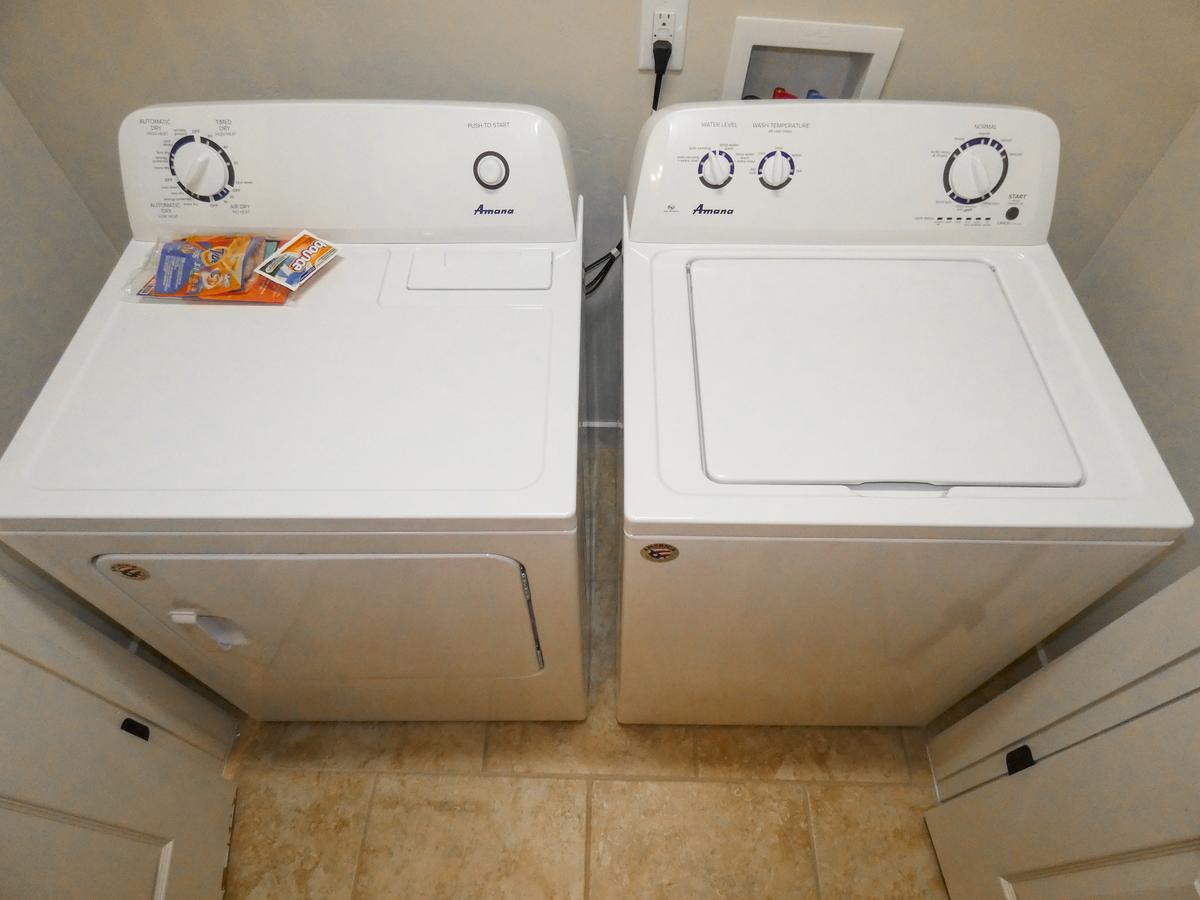 #19 Desert Winds - thumb 16