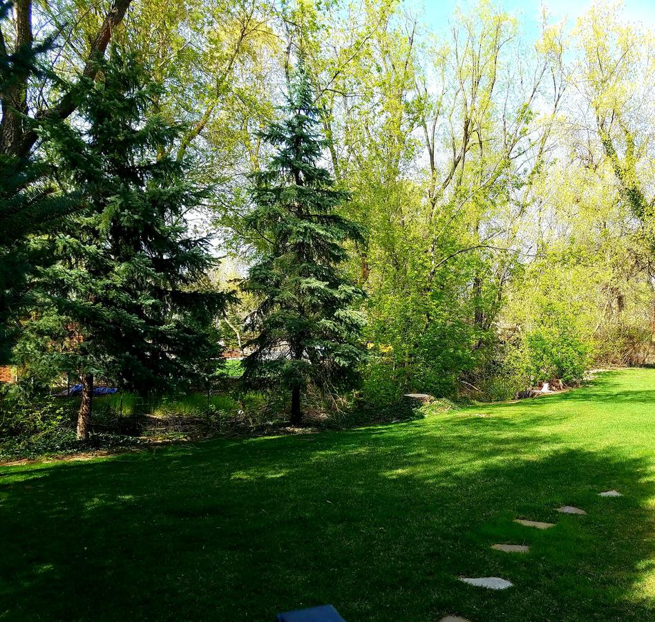 #05: Bellagio - thumb 12