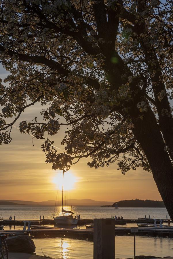 DoubleTree By Hilton Hotel Burlington Vermont - thumb 26