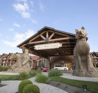 Great Wolf Lodge Williamsburg - Accommodation Indiana