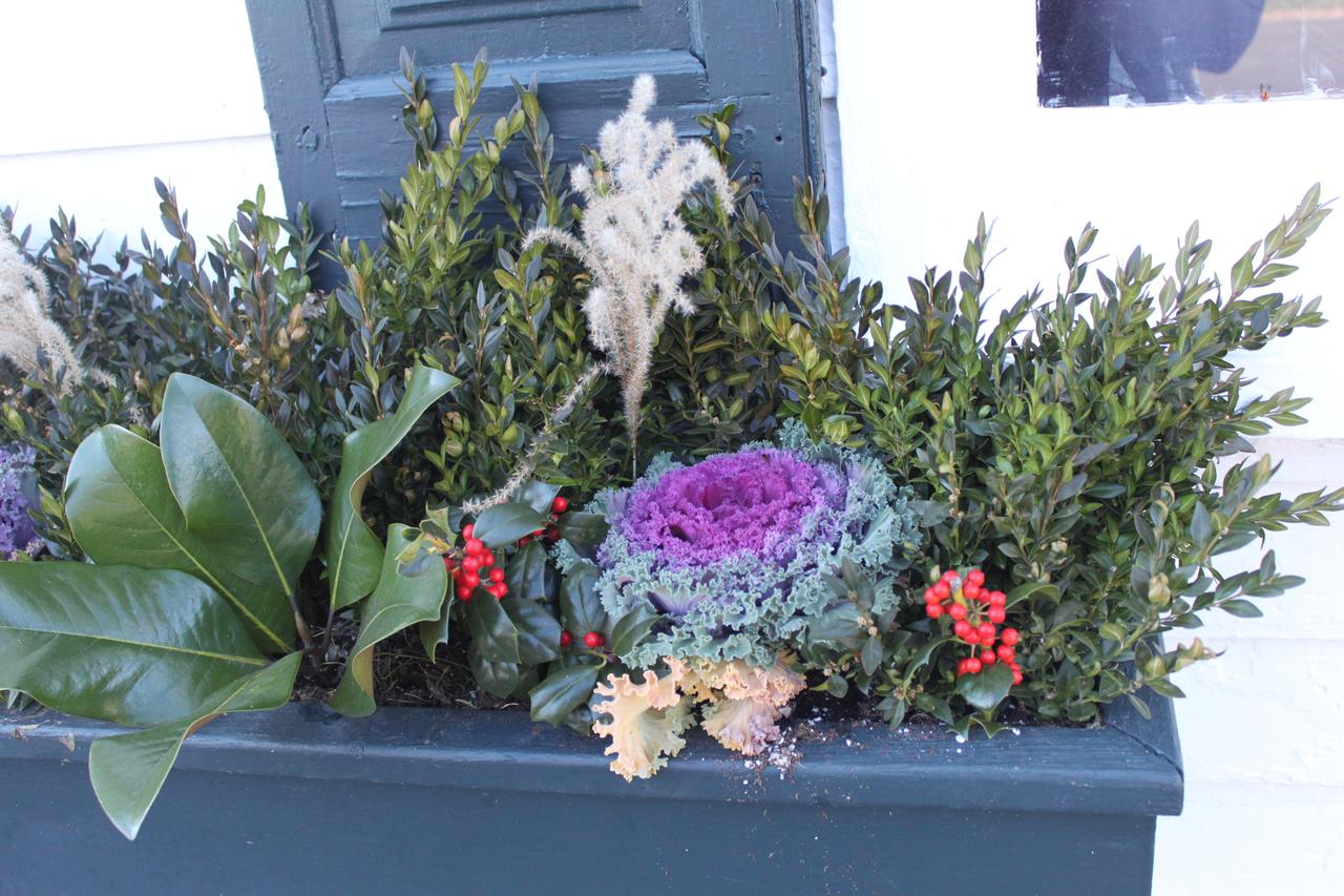 Ashby Inn & Restaurant - thumb 17