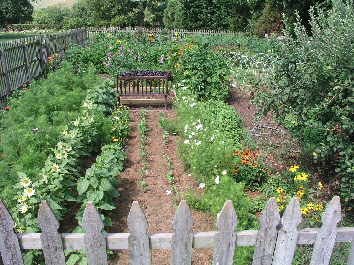 Ashby Inn & Restaurant - thumb 13