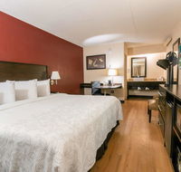 Red Roof Inn PLUS Washington DC - Manassas - Accommodation Indiana