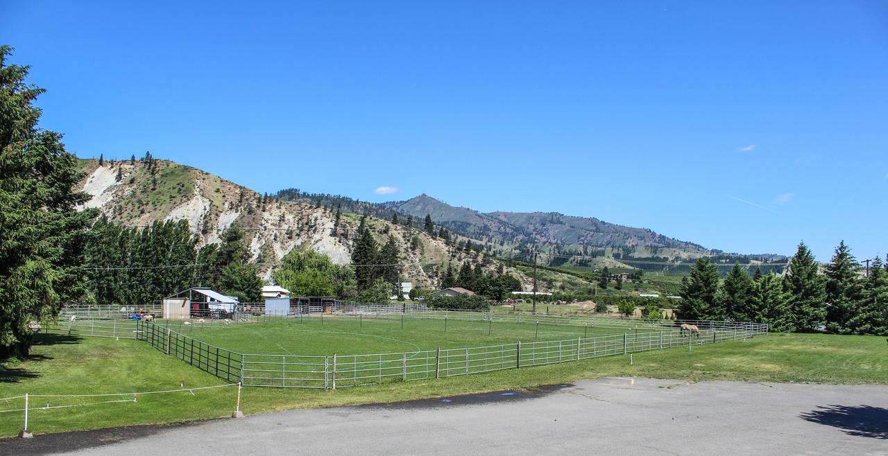 Wedge Mountain Inn - thumb 17