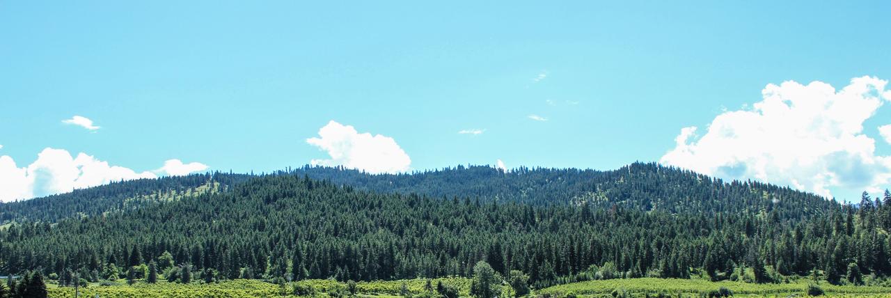 Wedge Mountain Inn - thumb 16