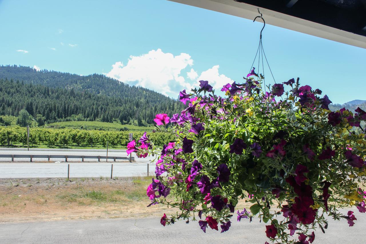 Wedge Mountain Inn - thumb 20