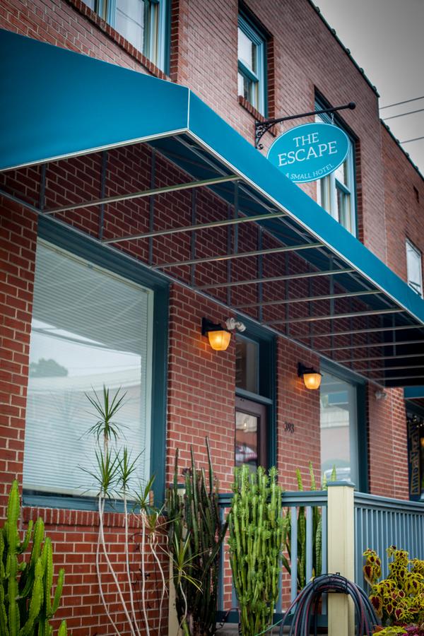 The Escape - thumb 2