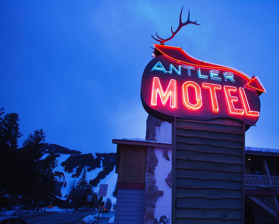 Antler Inn - thumb 12