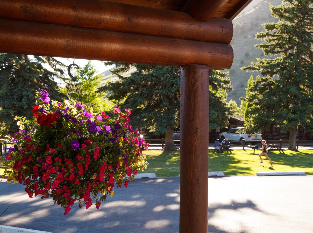 Elk Country Inn - thumb 25