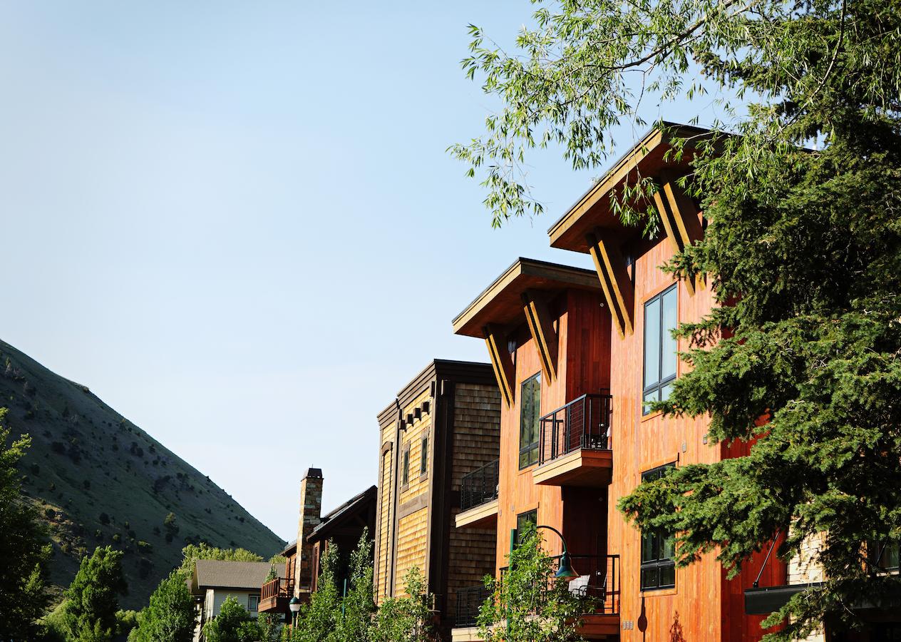 The White Buffalo Club - thumb 39