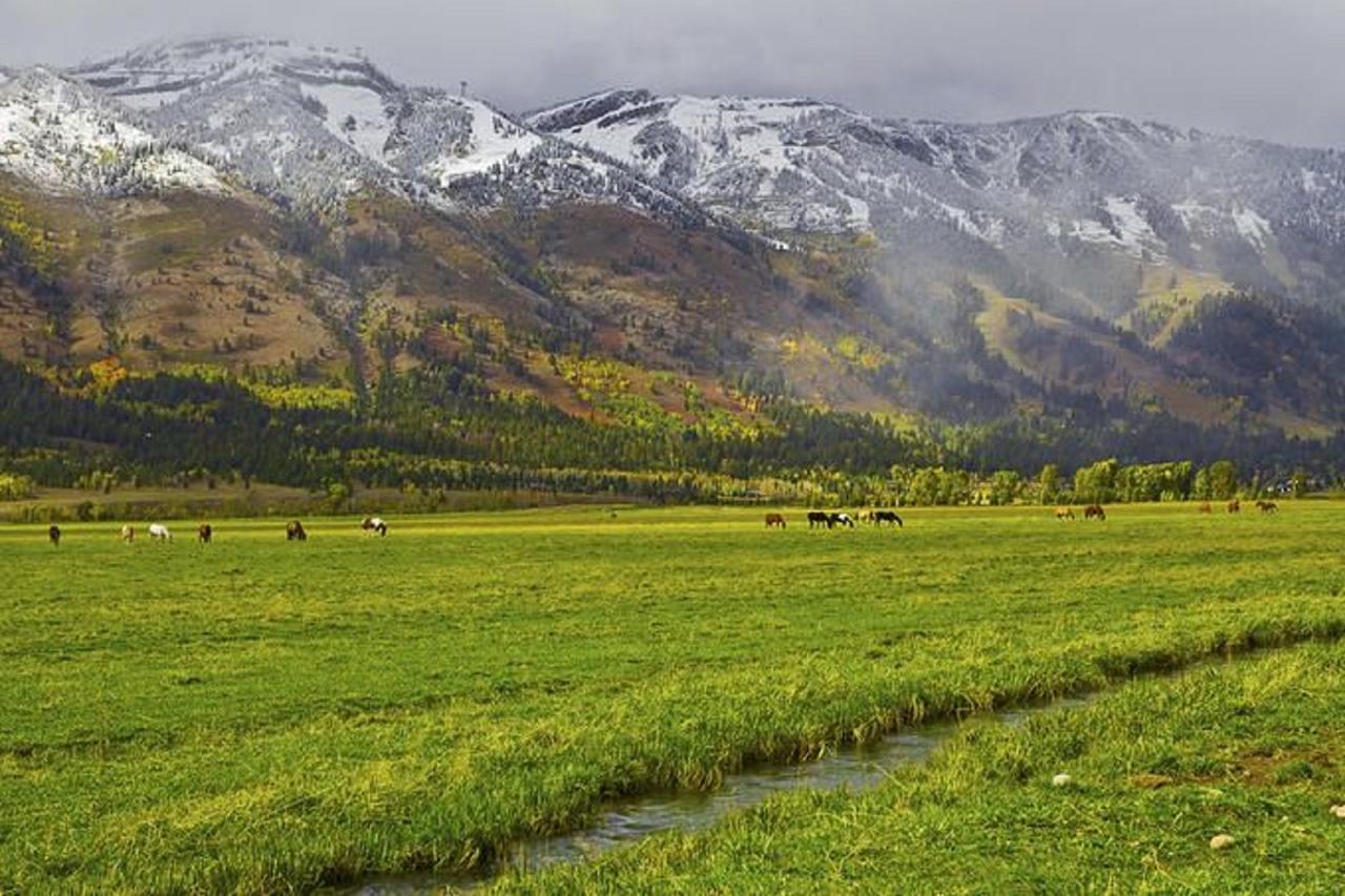 Jackson Hole Hideaway - thumb 19