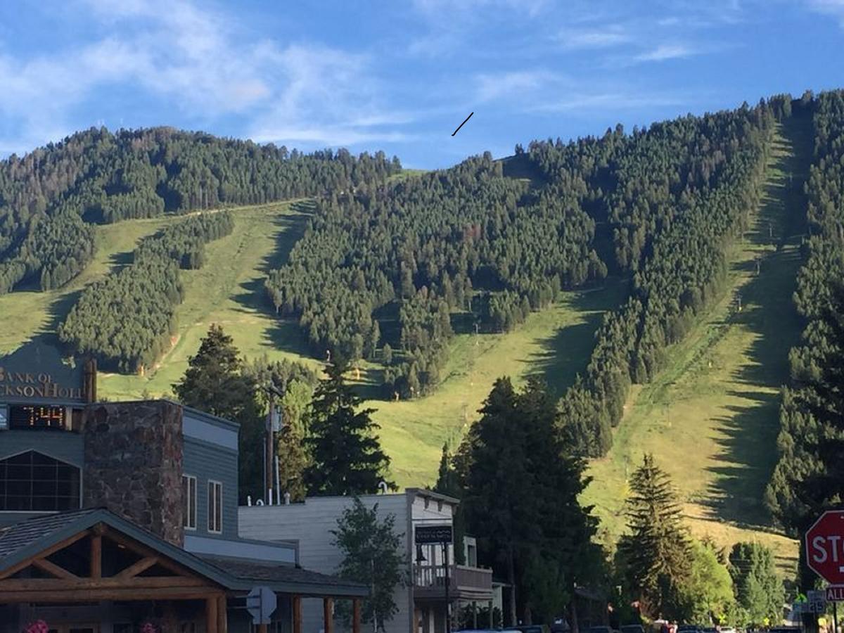 Jackson Hole Hideaway - thumb 11