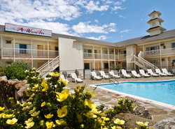 A Wave Inn - Montauk