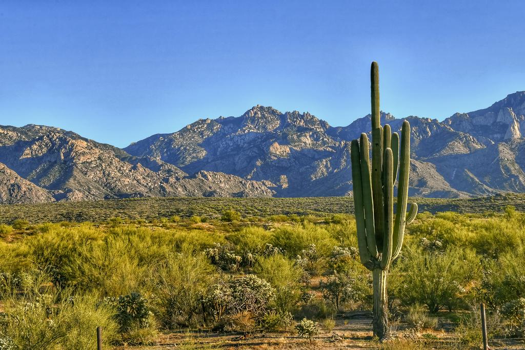 Alta Vista Studio - thumb 1