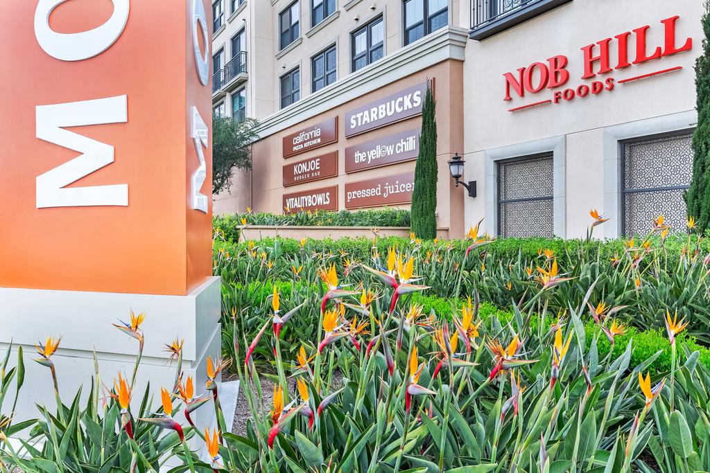 Balmoral Apartments - thumb 1