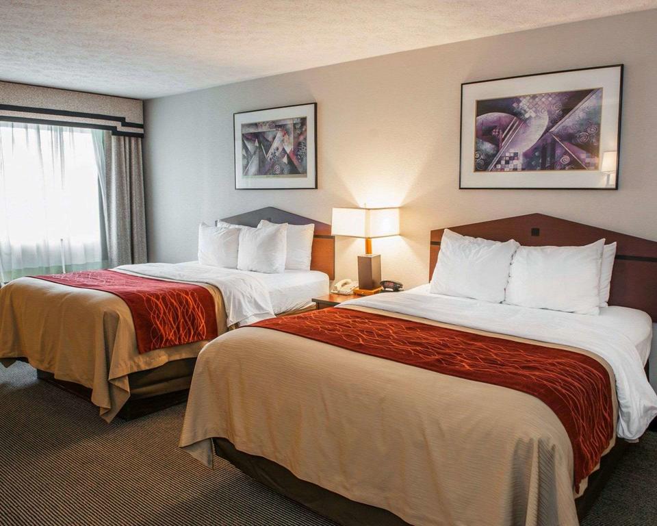 Comfort Inn Indianapolis South I-65 - thumb 3
