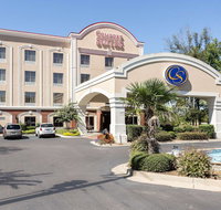 Comfort Suites Olive Branch - Accommodation Indiana