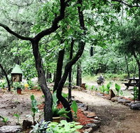 Dragonhead Retreat Shelter in Place Rates in East Texas Woods - Accommodation Indiana